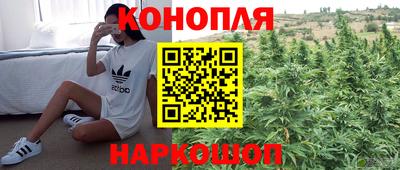 соль ск Камышлов