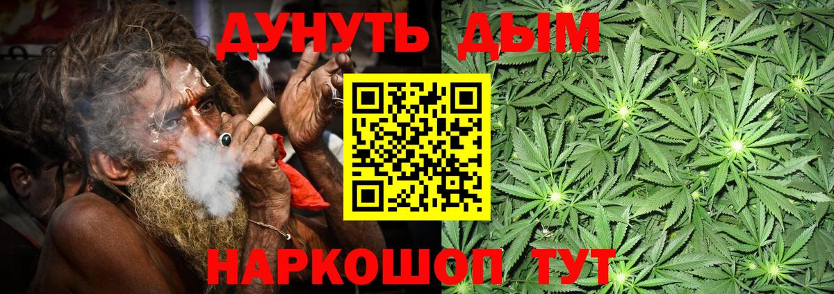 Бошки Шишки сатива Лабытнанги